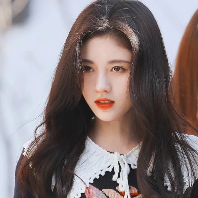女孩的灵缇犬