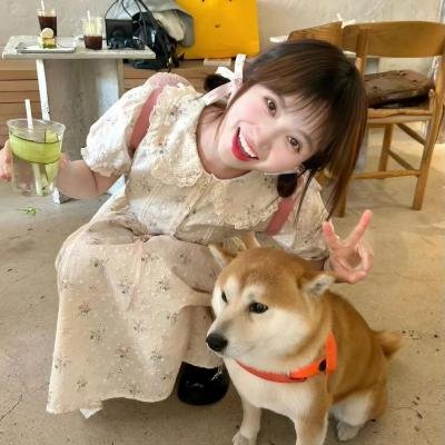 摇滚藏獒蓝色光芒